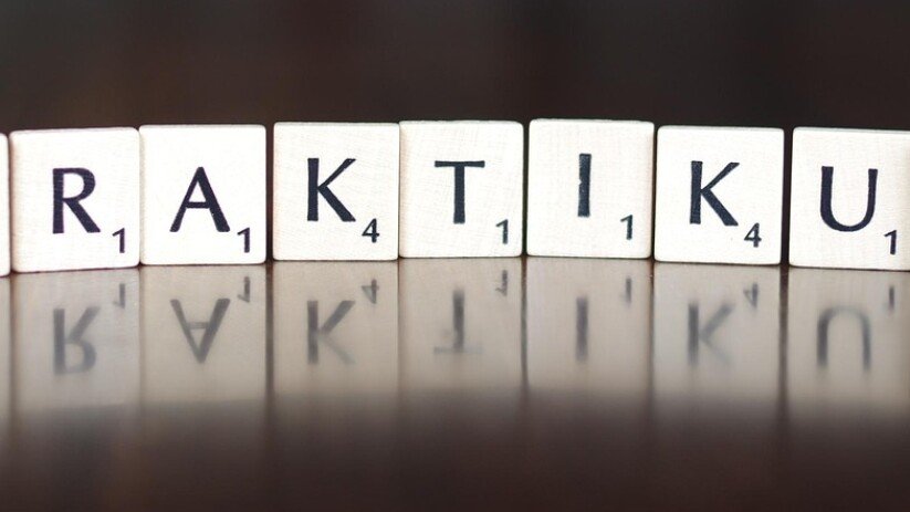 Formular Praktikum gratis downloaden (PDF)