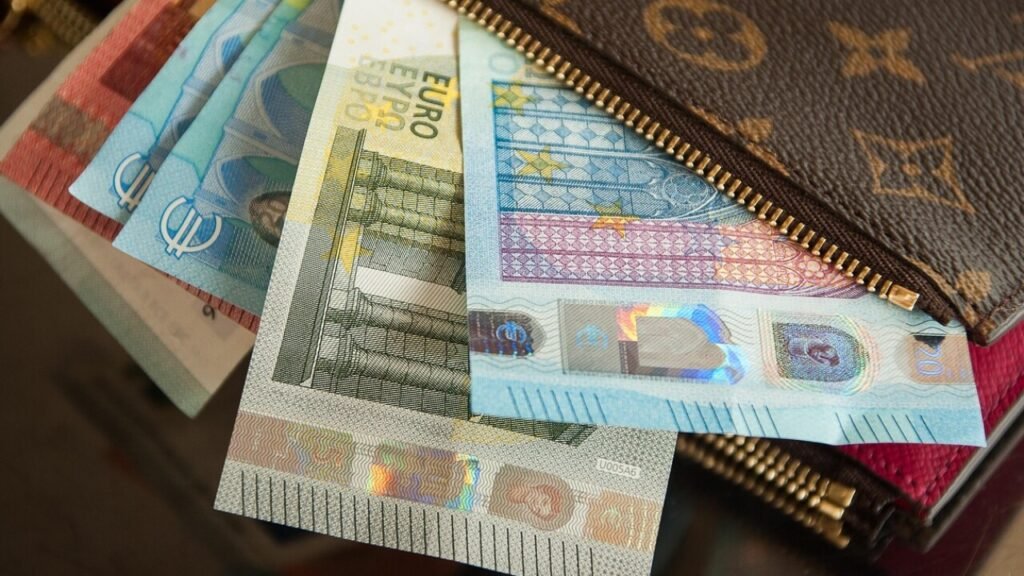 PDF kostenlos für 365-Euro-Ticket-Formular herunterladen