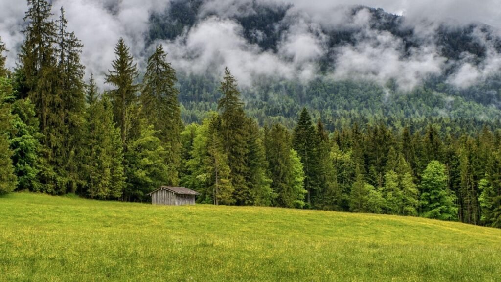 Kostenloser PDF-Download für Formulare Regierung von Oberbayern